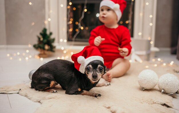 Ein Zwergpinscher mit roter Weihnachtsmütze sitzt mit einem Kind am Kamin im Zimmer