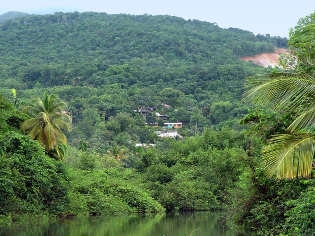 Eindruck von Guadeloupe