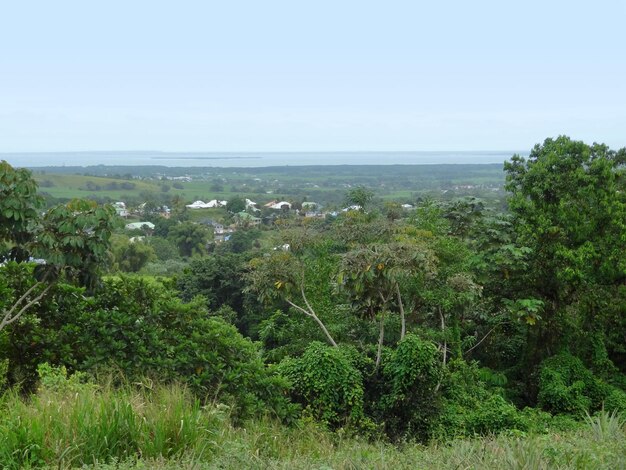 Eindruck von Guadeloupe