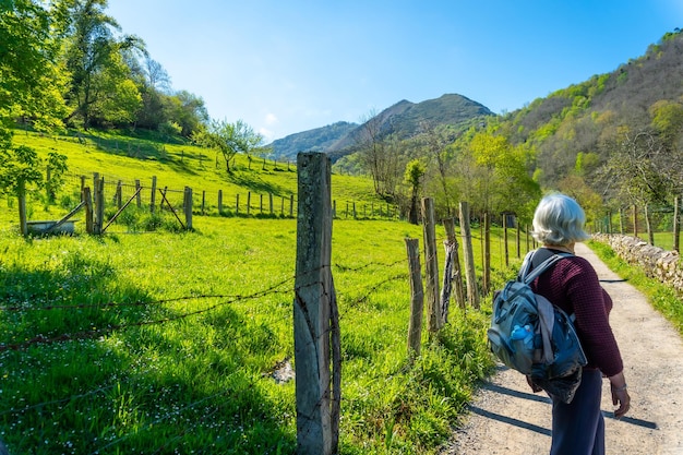 Eine ältere Frau Trekking auf dem Weg zwischen Tornin und Olla de San Vicente in der Nähe von Cangas de Onis Asturien Spanien
