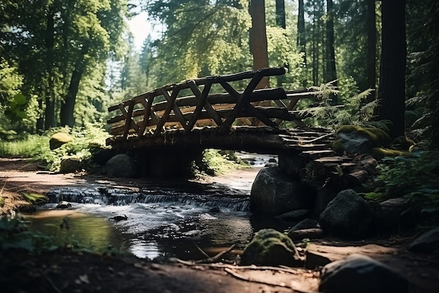 Eine alte Brücke in einem alten Wald