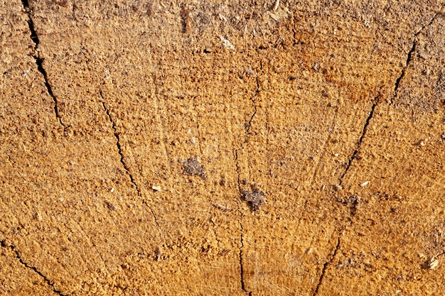 Eine alte Holzoberfläche mit einigen Schäden