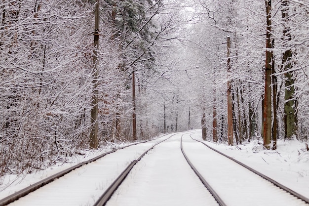 Eine alte Straßenbahn, die sich durch einen Winterwald bewegt