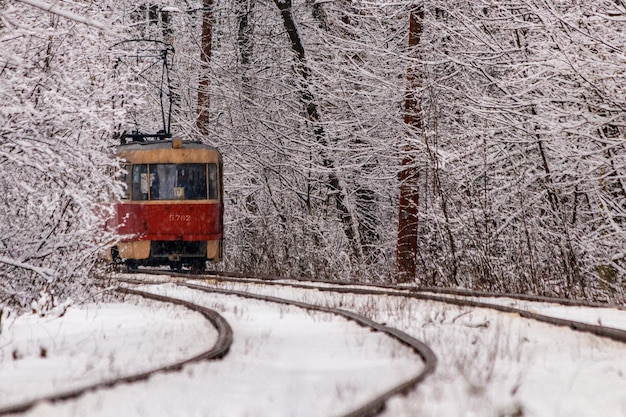 Eine alte Straßenbahn, die sich durch einen Winterwald bewegt