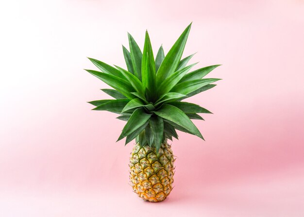 Eine Ananas auf hellrosa Hintergrund.