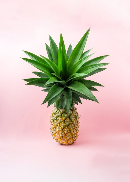 Eine Ananas auf hellrosa Hintergrund.