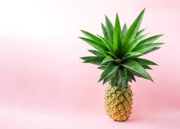 Eine Ananas auf hellrosa Hintergrund.