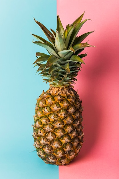 Foto eine ananas