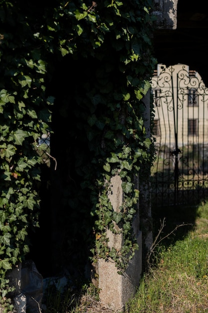 Eine antike Architektur einer Steinstruktur einer europäischen Stadt in Italien, die mit Blättern überwuchert ist