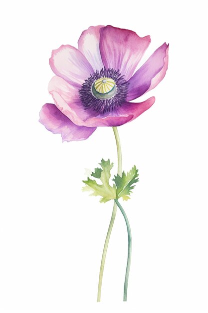 Foto eine aquarellmalerei einer anemone mit einem stiel und einem grünen stiel.