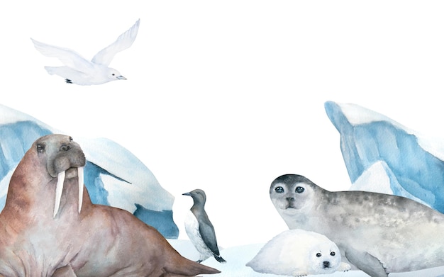 Eine Aquarellmalerei eines Siegels und eines Pinguins.