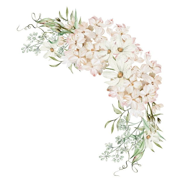 Eine Aquarellzeichnung einer weißen Hortensienblume