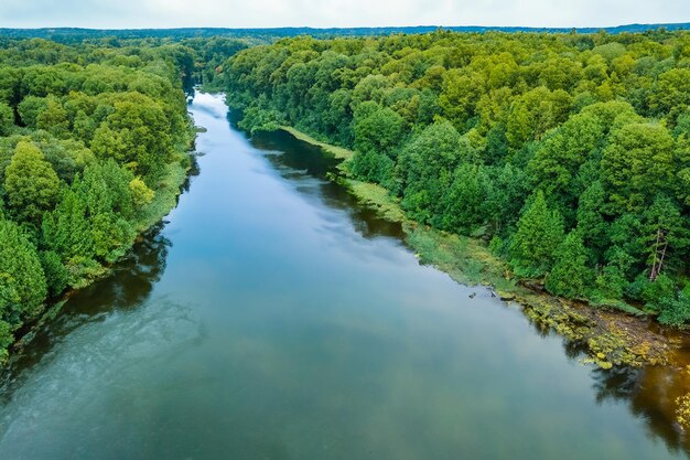 Eine atemberaubende Landschaft mit einem wunderschönen Fluss, bezaubernder Luft und üppigen Bäumen