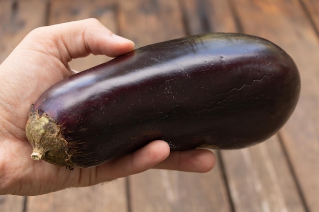 Eine Aubergine in der Hand Nahaufnahme Holzhintergrund zurück