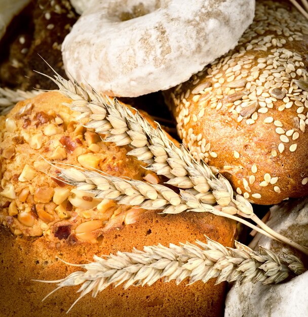 Eine Auswahl an frisch gebackenem Brot. Sauerteig, Brötchen, Challah, Bagel.