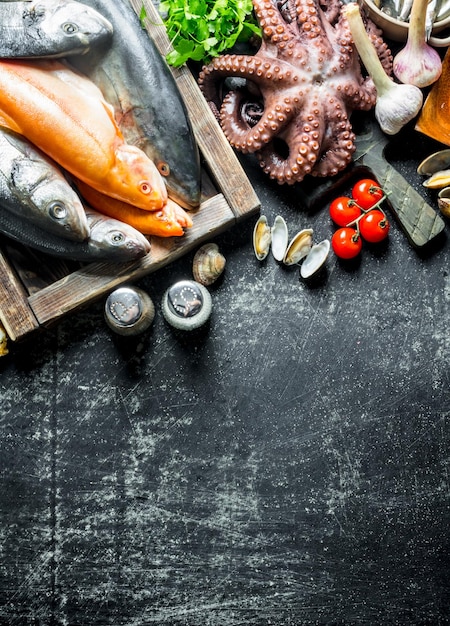 Eine Auswahl an frischem Fisch, Tintenfisch und Austern