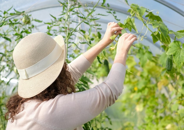 Eine Bäuerin, die im Bio-Gewächshaus arbeitet. Frau, die Gemüse anbaut