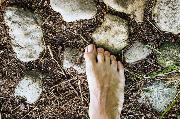 Eine barfüßigvogelperspektive auf Steinoberfläche im Wald