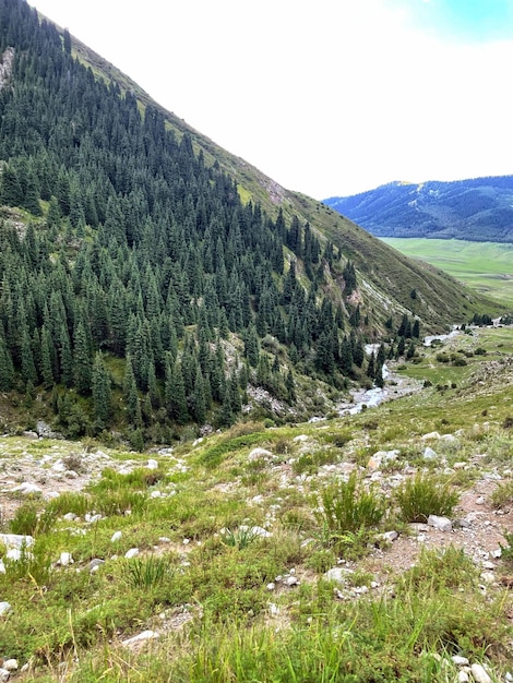 Eine Berglandschaft, durch die ein Fluss fließt