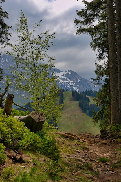 Eine Berglandschaft in den französischen Alpen