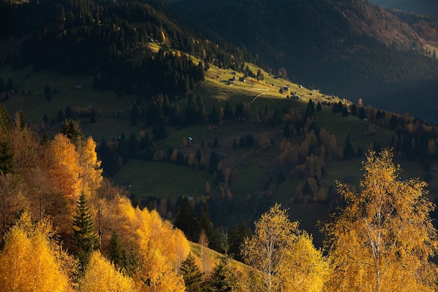 Eine bezaubernde Berglandschaft im Bucegi-Gebirge, Karpaten, Rumänien