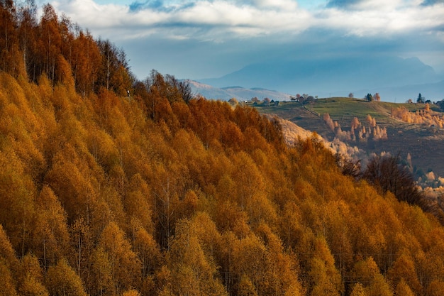 Eine bezaubernde Berglandschaft in Karpaten, Rumänien