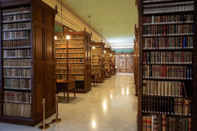 Eine Bibliothek mit einem großen Holzregal mit Büchern darauf