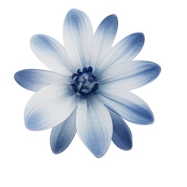 Eine blau-weiße Blume mit den blauen Blütenblättern der Blume.