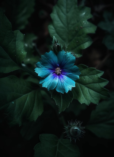 Eine blaue Blume im Dunkeln