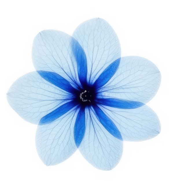 Foto eine blaue blume mit blauen blütenblättern, auf der „blau“ steht