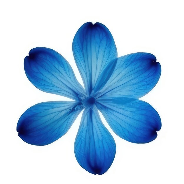 Eine blaue Blume mit dem Wort "blau" drauf.