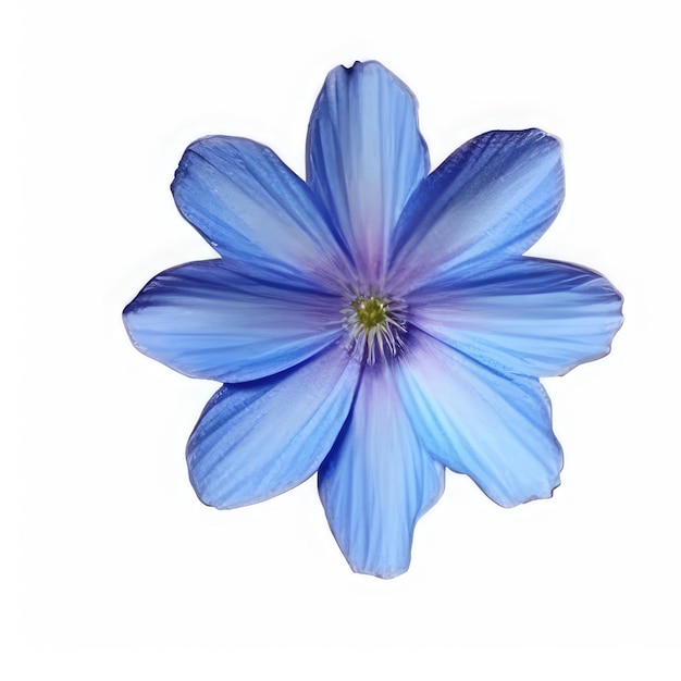 Eine blaue Blume mit einer grünen Mitte und der Mitte der Mitte.