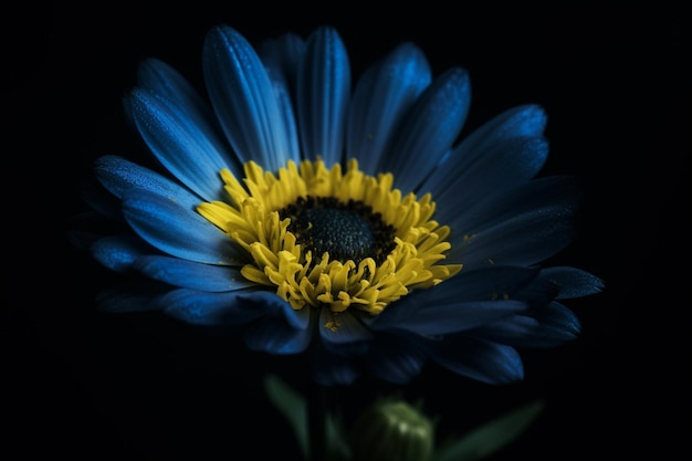 Eine blaue Blume mit gelber Mitte