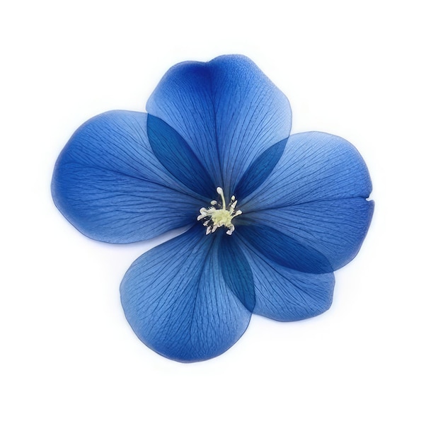 Foto eine blaue blume mit weißem hintergrund und grünem stiel.