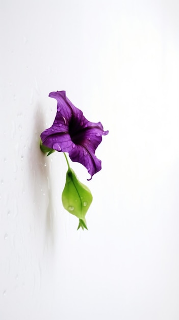 Eine Blume in einer Wand