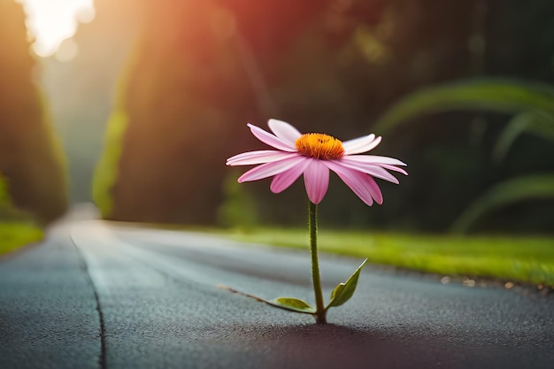 Eine Blume mitten auf einer Straße, auf die die Sonne scheint