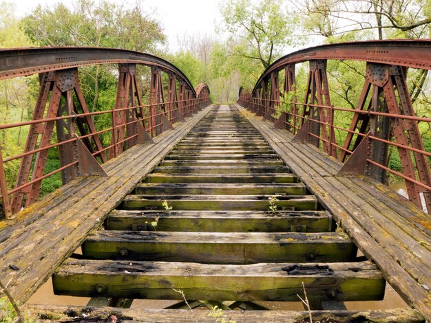 Foto eine brücke im wald.