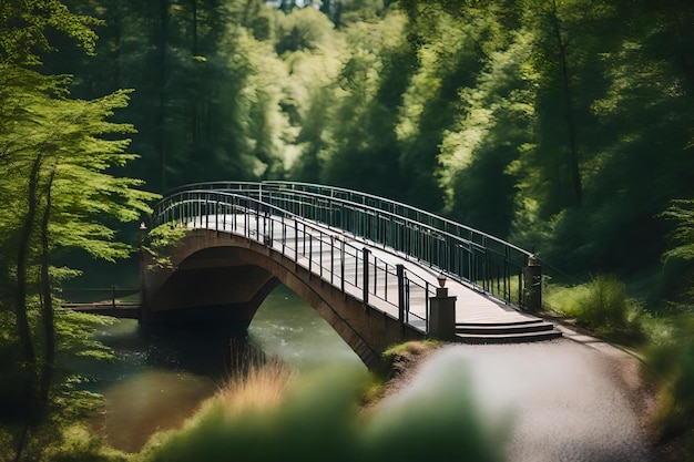 Eine Brücke im Wald