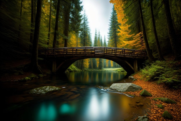 Eine Brücke über einen Fluss mitten im Wald