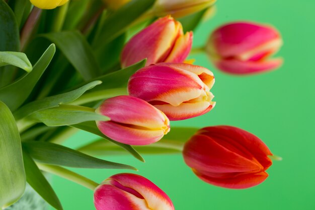 Eine bunte Frühlingsgrußkarte mit Blumen