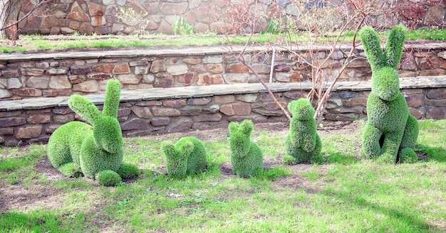 Eine dekorative Struktur in Form einer niedlichen Hasenfamilie aus grünem Gras oder Büschen. Dekoration im Park, dekorative Figuren