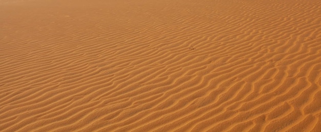 Eine Düne ist eine Landform, die aus wind- oder wassergetriebenem Sand besteht