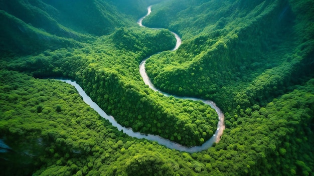 Eine dynamische Luftaufnahme eines Serpentinenflusses, der sich an einem hellen Sommermorgen durch eine üppige Berglandschaft schlängelt