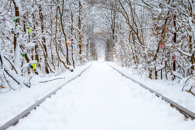 Eine Eisenbahn im Winterwald