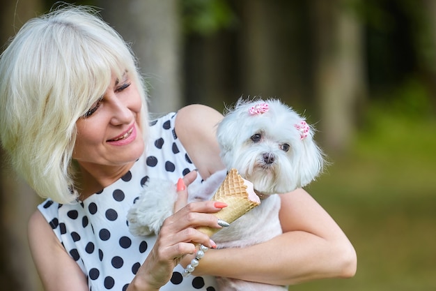 Eine erwachsene frau verführt einen maltesischen schoßhund mit eis