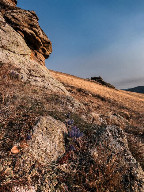 Eine felsige Landschaft mit einem Berg im Hintergrund und einem blauen Himmel, auf den die Sonne scheint.