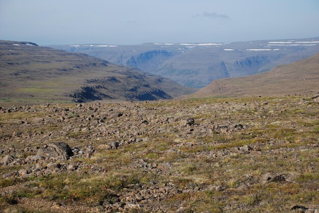 Eine felsige Landschaft