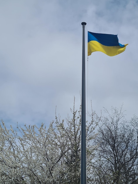 Eine Flagge mit der Flagge der Ukraine darauf