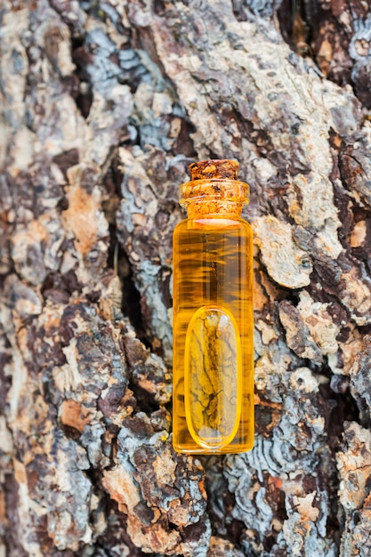Eine Flasche natürliches ätherisches Öl liegt auf der Rinde eines Baumes mit einer schönen Textur. Konzept für natürliche Essenzen, Bio-Kosmetik, Aromatherapie, Spa. Flach liegen.