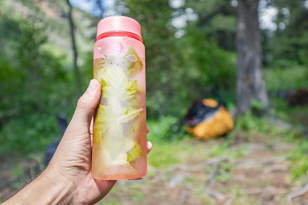 Eine Flasche Quellwasser mit Minze und Johannisbeerblättern zum Würzen